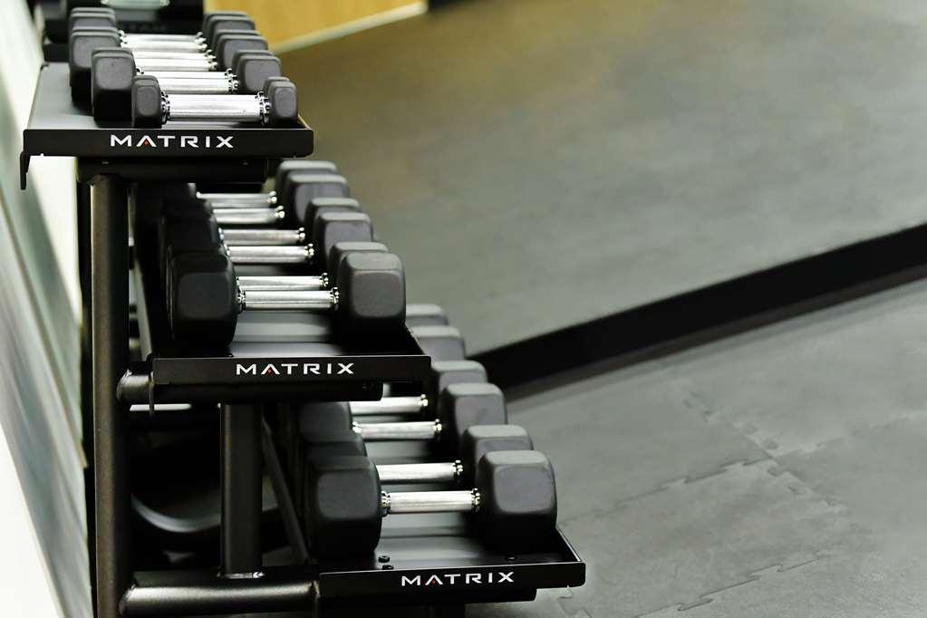 Galeria Plaza San Jeronimo Hotel Cidade do México Instalações foto Dumbbells