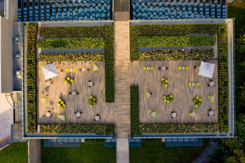 Galeria Plaza San Jeronimo Hotel Cidade do México Exterior foto The green wall at the Allianz Arena